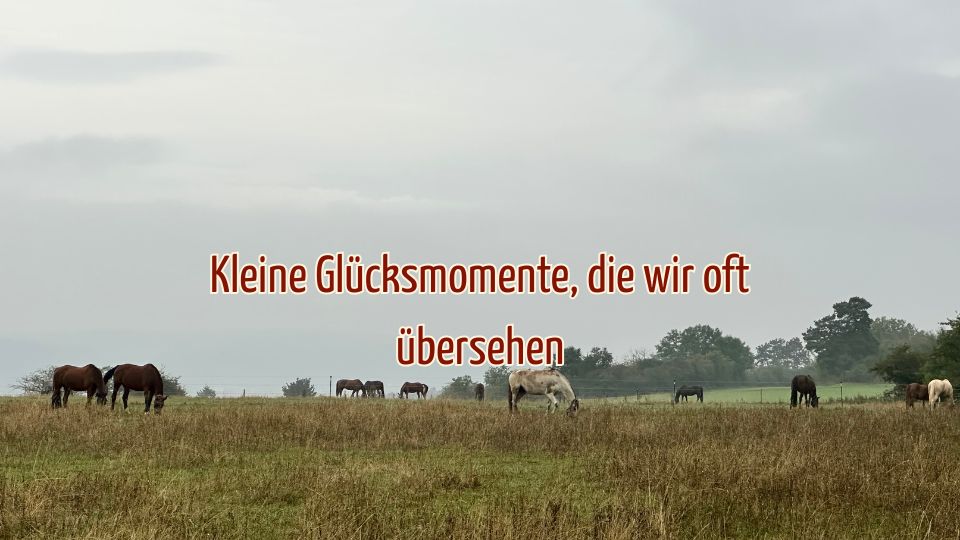 Kleine Glücksmomente