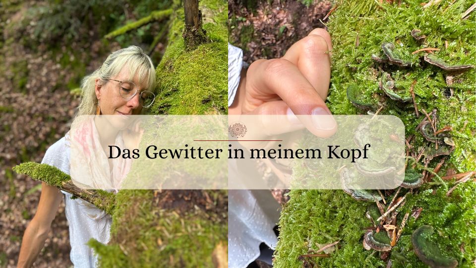 Das Gewitter in meinem Kopf