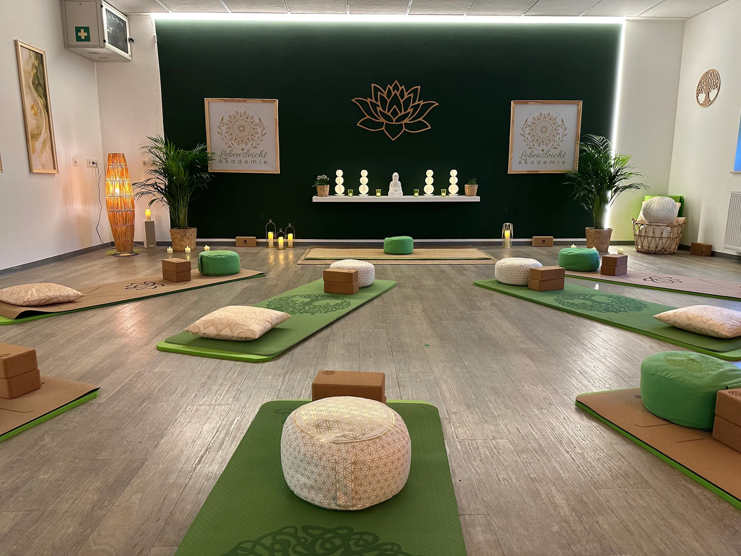 Der Kursraum mit warmer indirekter Beleuchtung hinter der grünen Wand, Matten und Meditationskissen ausgelegt
