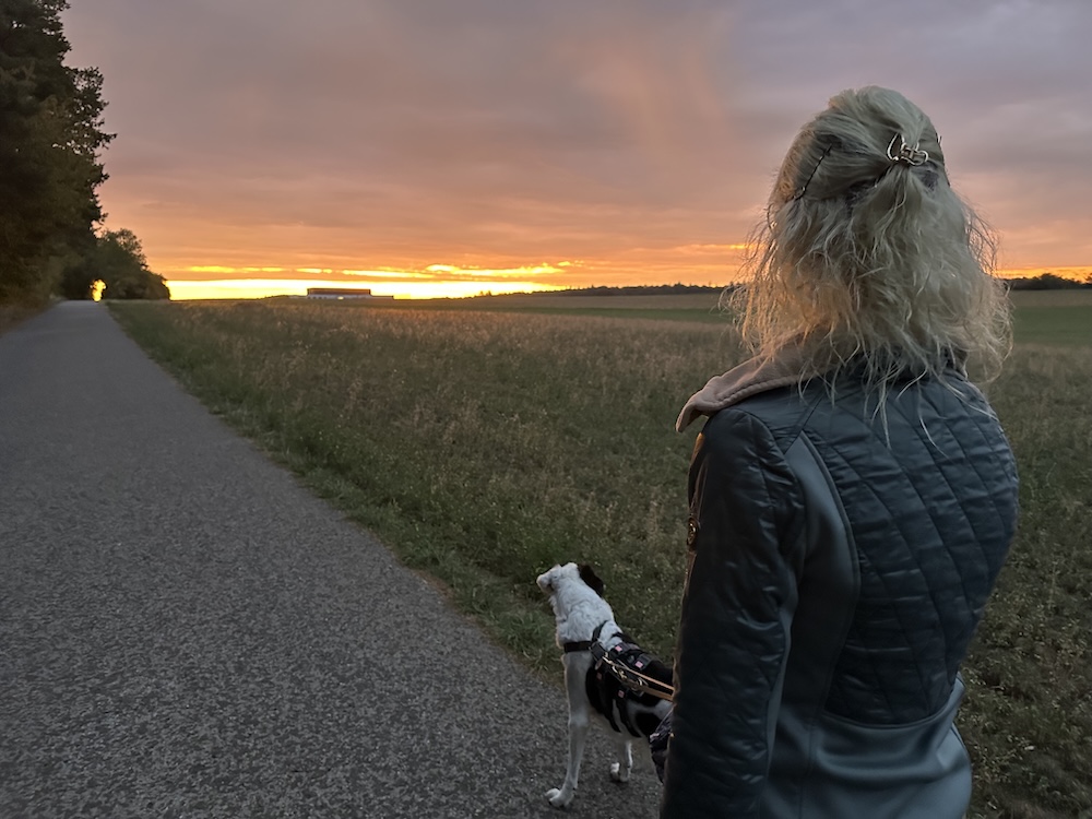 Im Moment sein